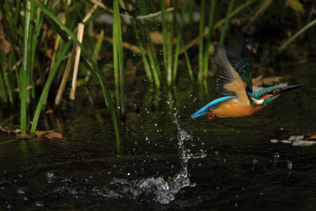 更新ファームウエアの成果7