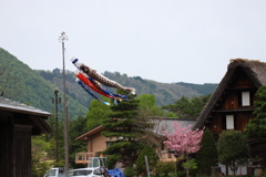 やっと風がふいたよ