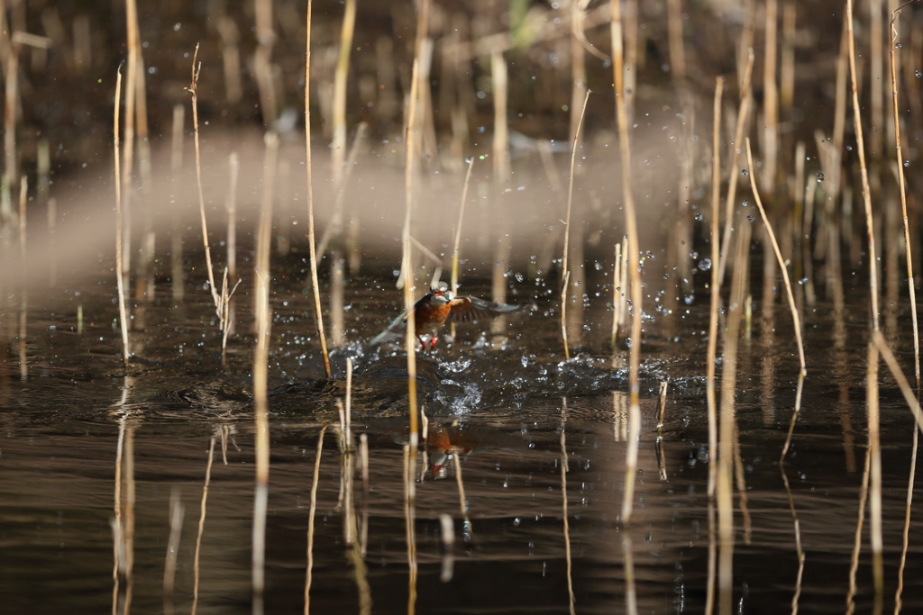 久し振りの水がらみなのにやな予感２
