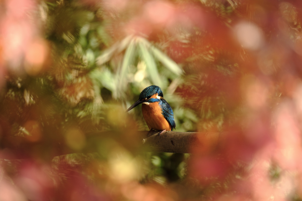 今日のトンネル