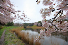 広角