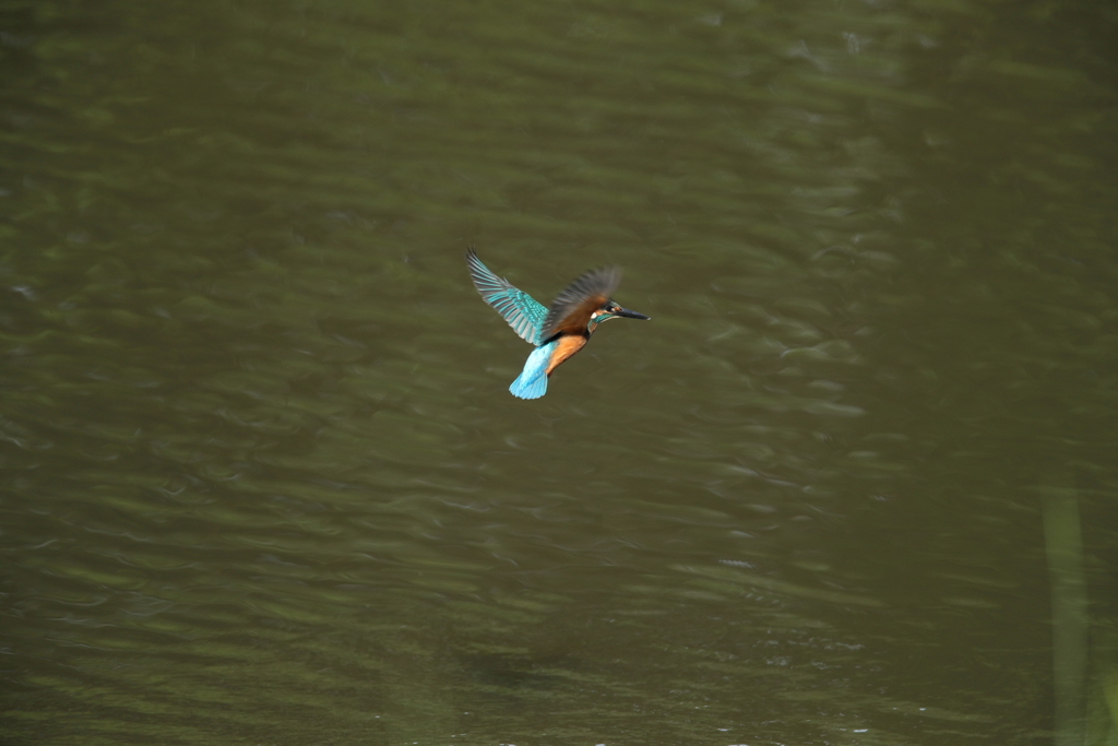 ターゲットロックオン３？