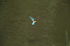 ターゲットロックオン３？