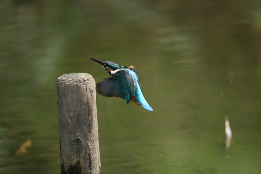 手持ち６連射⑤