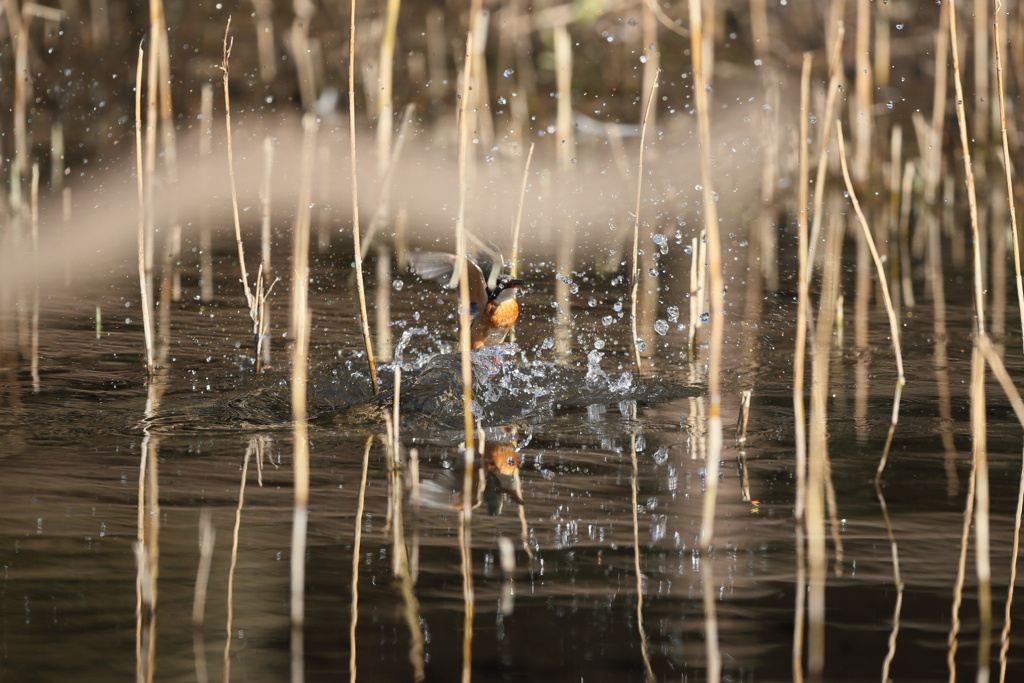 久し振りの水がらみなのにやな予感１