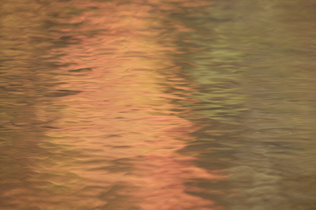 紅葉通り