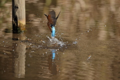 バックスタイル