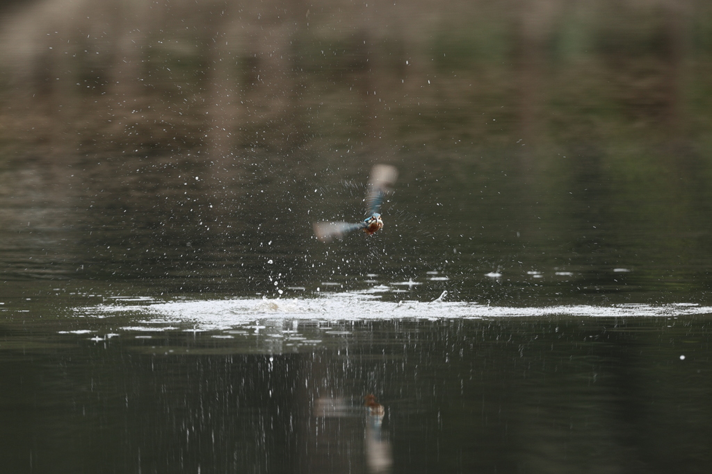 シャッタースピード1/320秒２