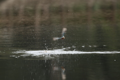 シャッタースピード1/320秒２