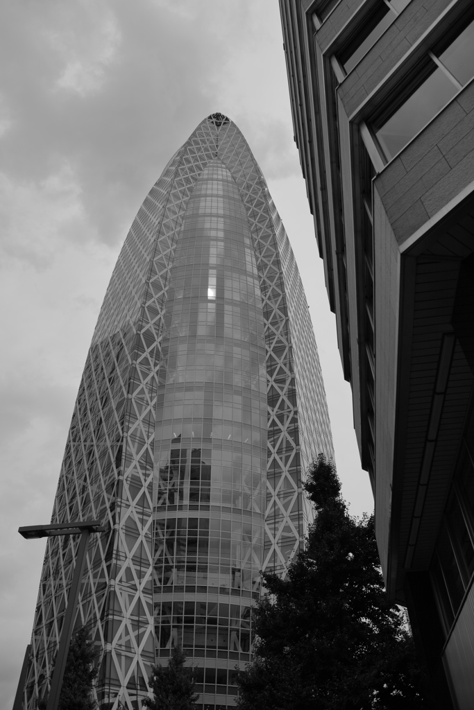 新宿の定番」
