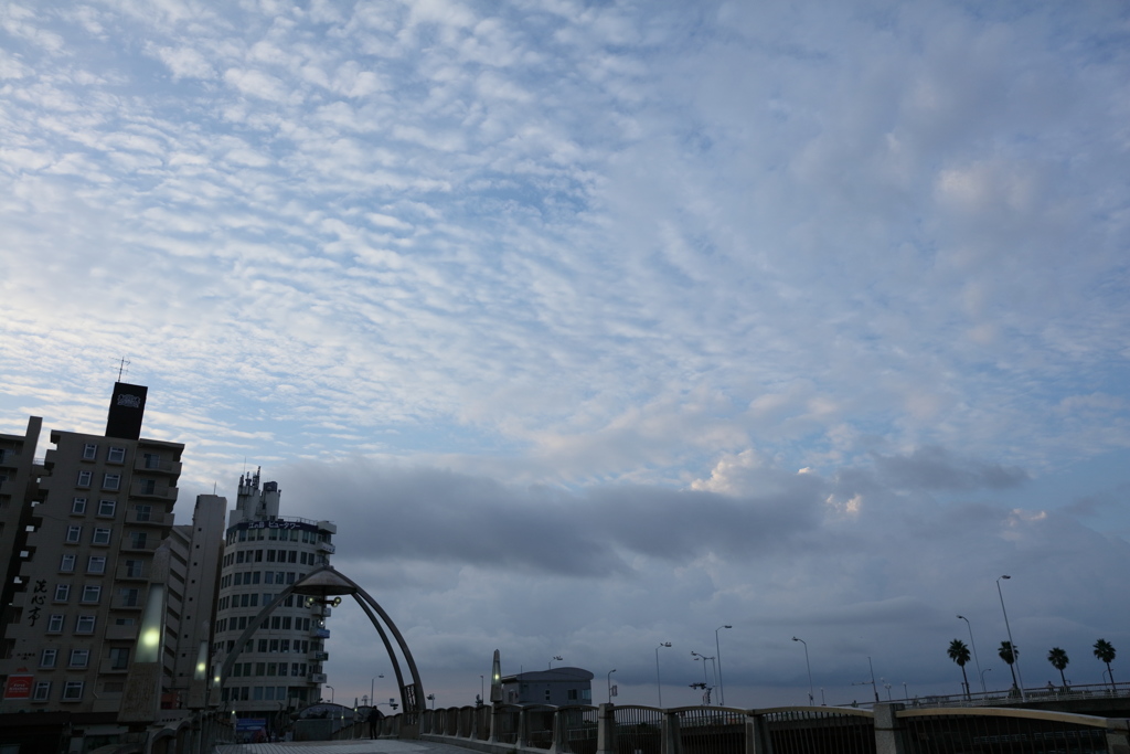 今日も朝から街ブラ？