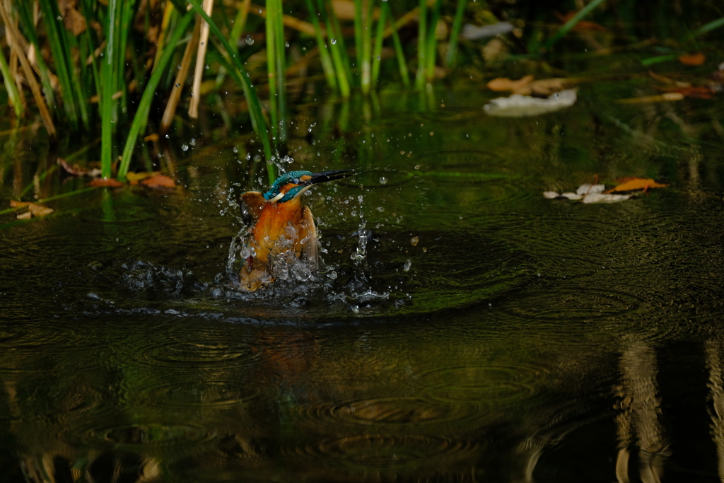 更新ファームウエアの成果３