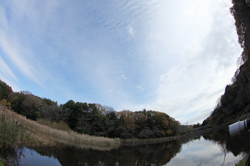 晩秋の空