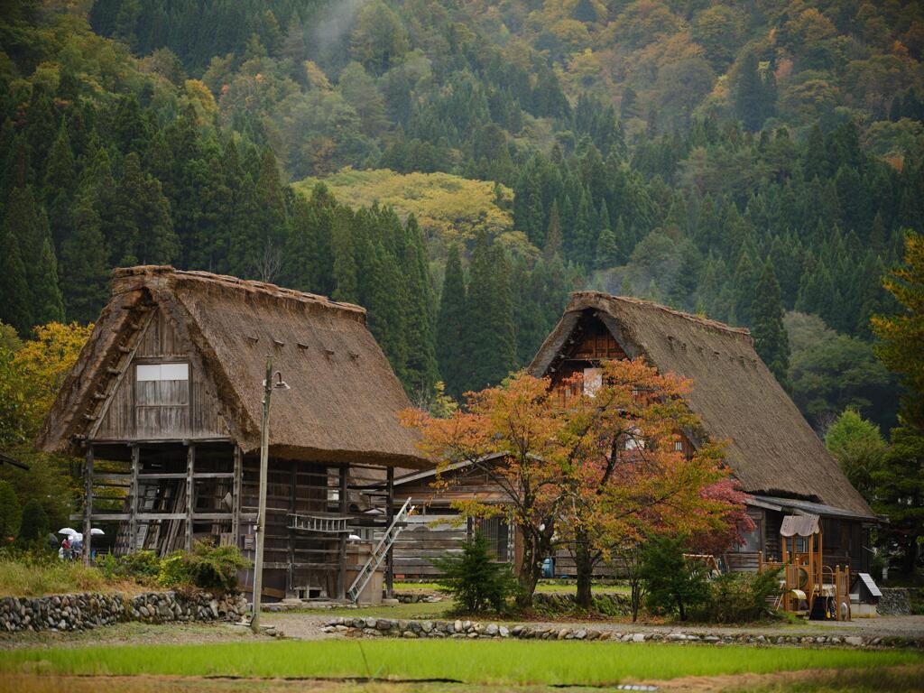 秋の白川郷１