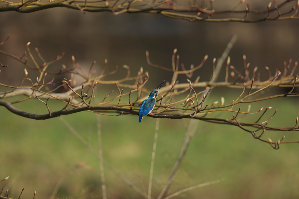 行くぜ！いくぜ！行くぜ！