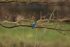 行くぜ！いくぜ！行くぜ！
