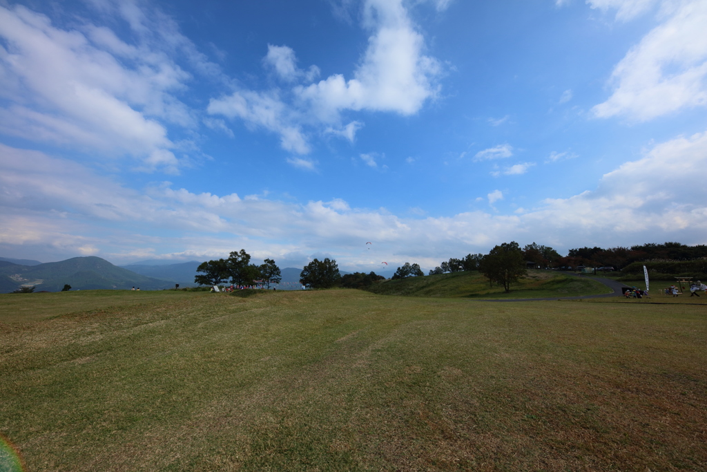 何か、飛んでる？