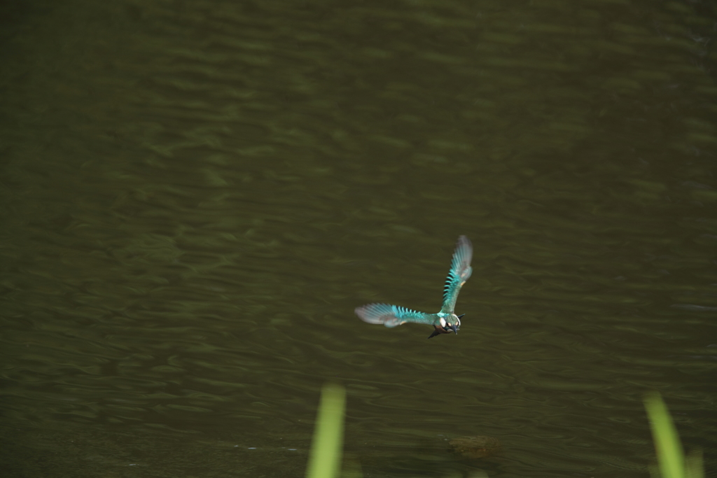 ターゲットロストこれより帰還２