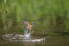 秒間16枚を見よ４
