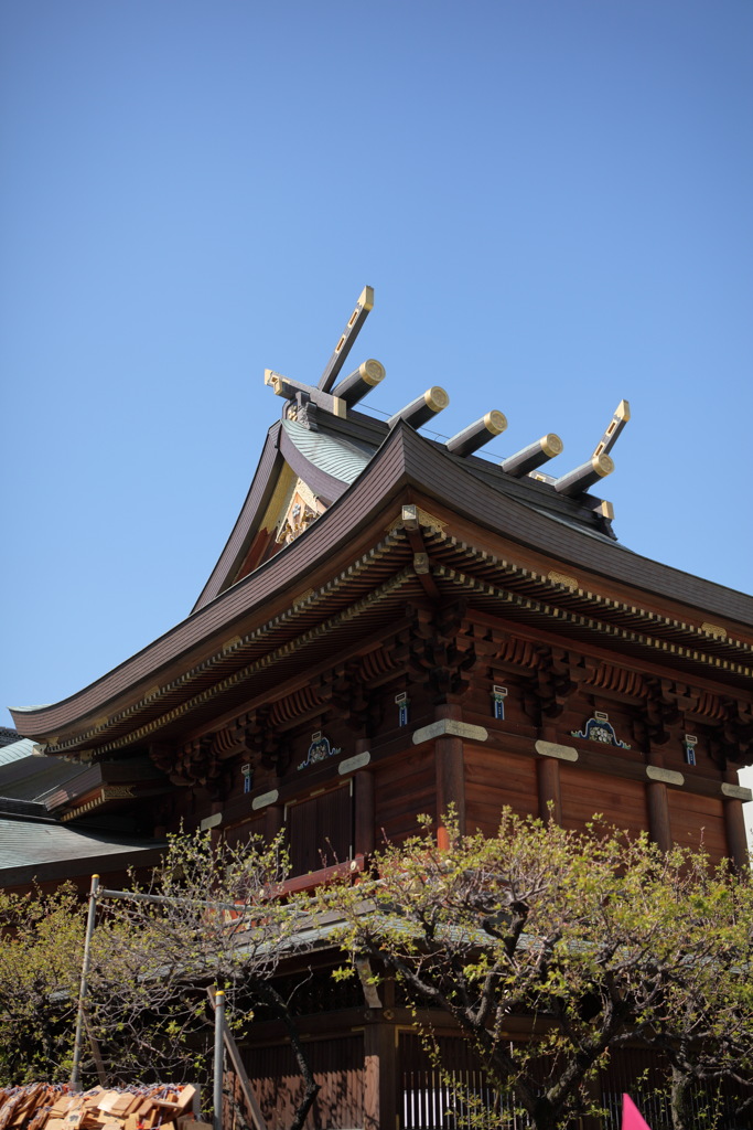 一人街ブラ、湯島天満宮