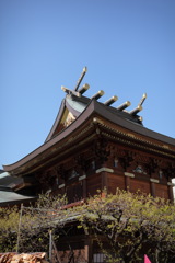一人街ブラ、湯島天満宮