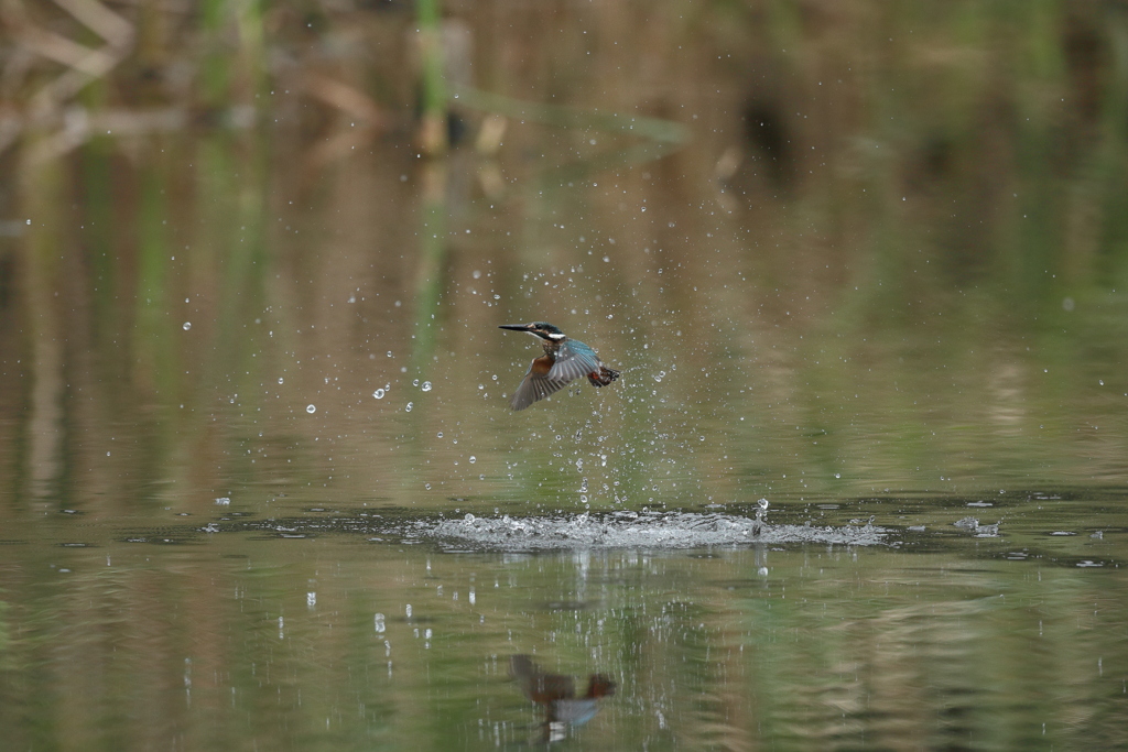 遠い（垂直上昇）