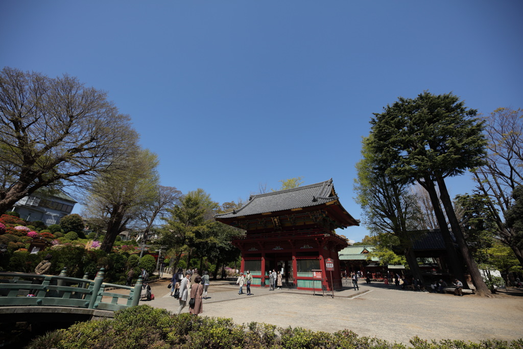 根津神社①