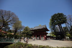 根津神社①