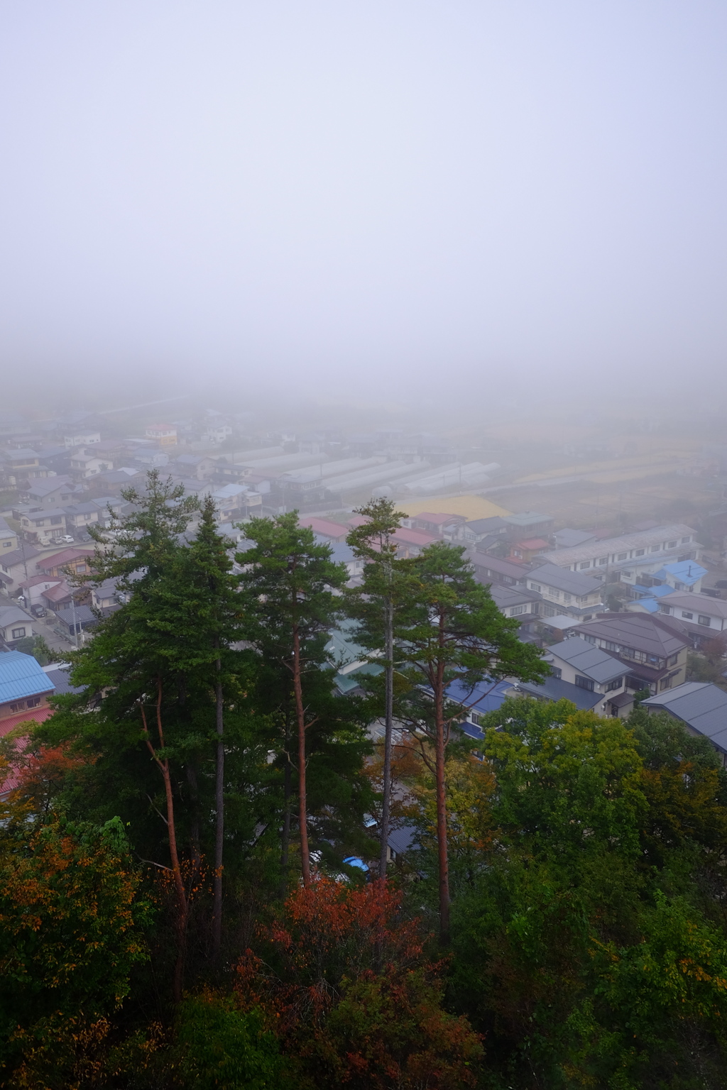 高山の朝