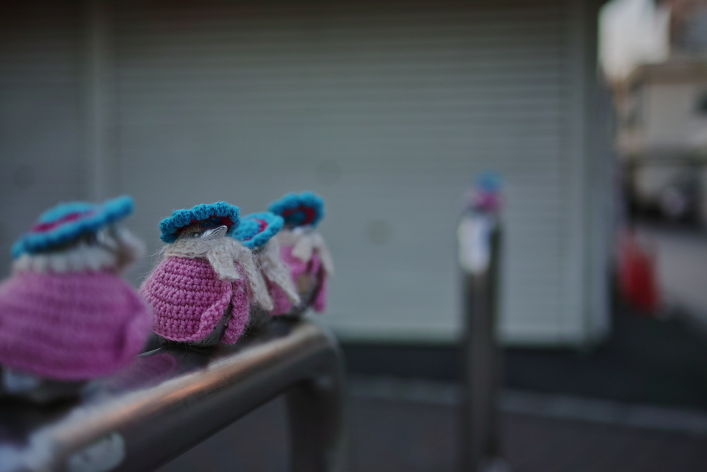 スズメさん