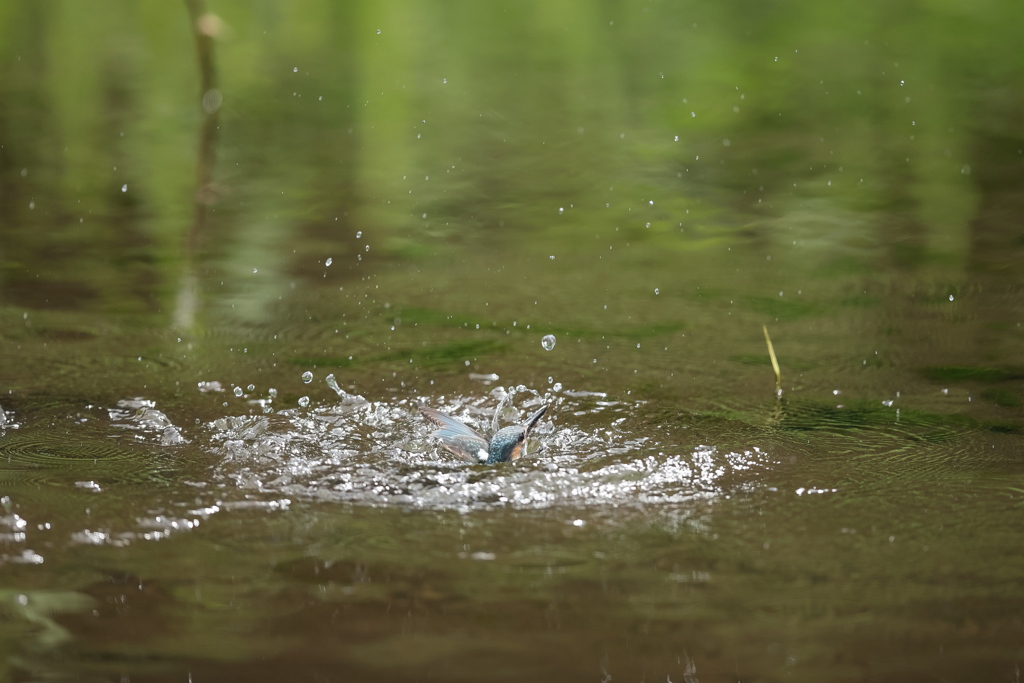 秒間16枚を見よ２