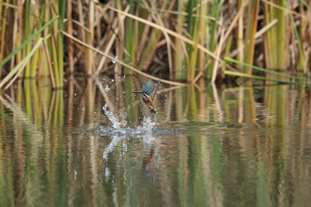 遠い（垂直上昇）