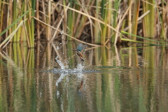 遠い(垂直上昇)