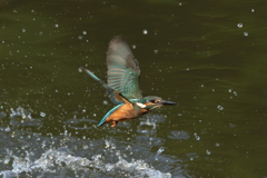 たまには水がらみ１