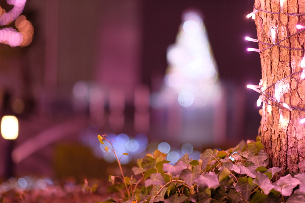 チョイエロイイルミ２