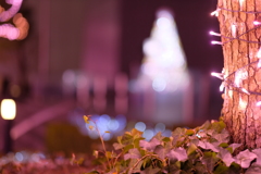 チョイエロイイルミ２