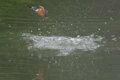 なかなかイケルかも3