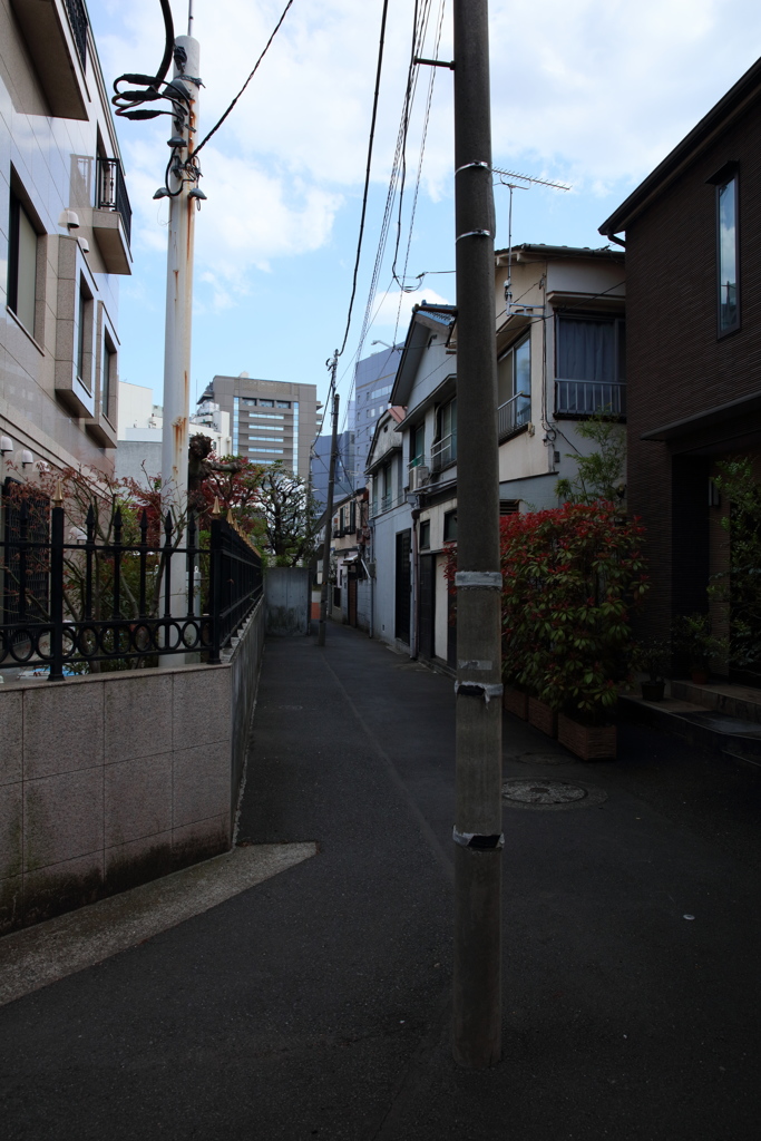 ？なぜ道の真ん中に？？？