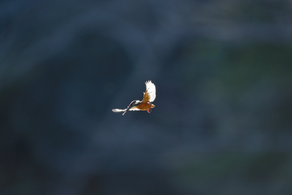 男の子が・・・