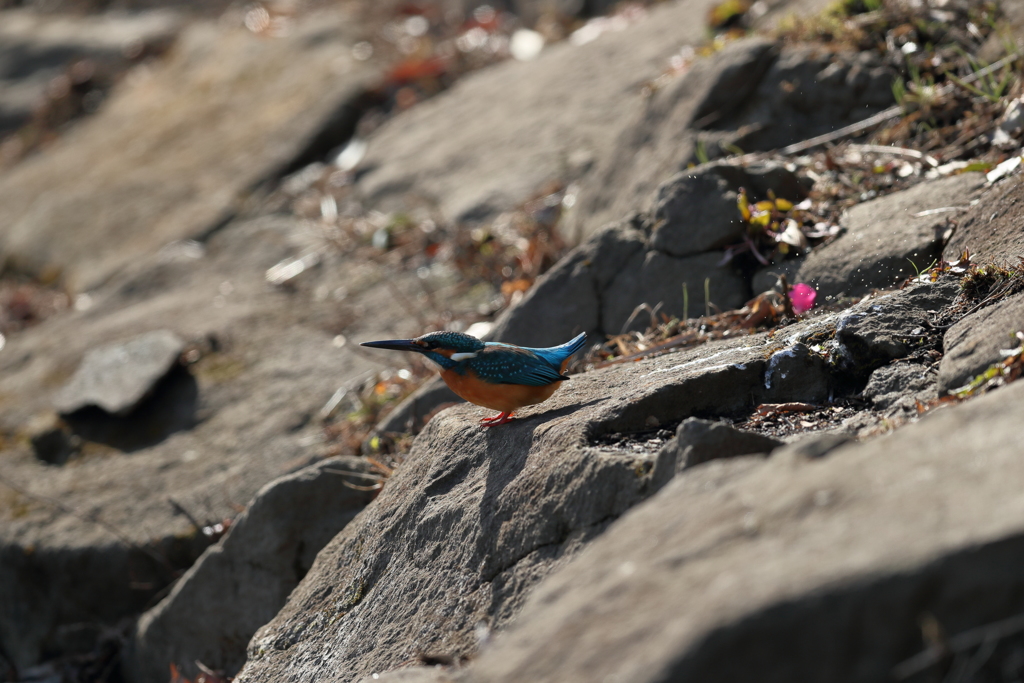 ほとばしる・・・・