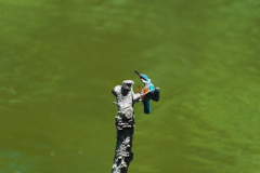 タッチダウン１