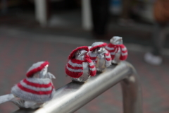 8年前のスズメちゃん