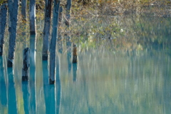 青の池、どちらが良い？