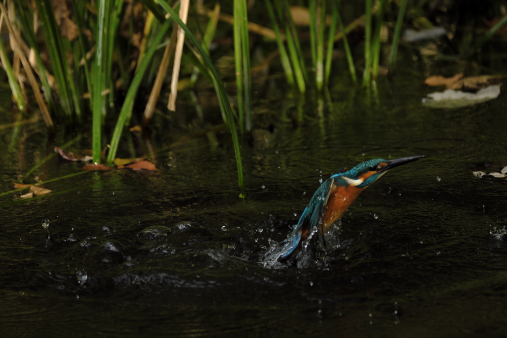 更新ファームウエアの成果６