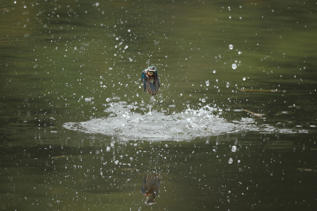 久しぶりの水がらみ５