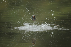 久しぶりの水がらみ5