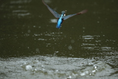 2匹取ったぞ、でもＢ面