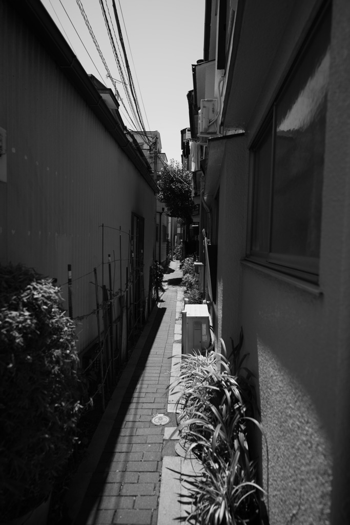 裏町角③