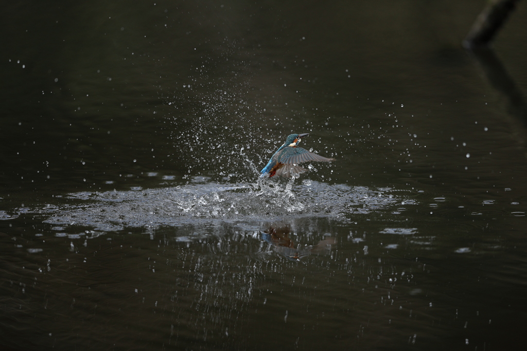 Ｂ面で・・・・