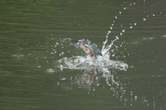 なかなかイケルかも１